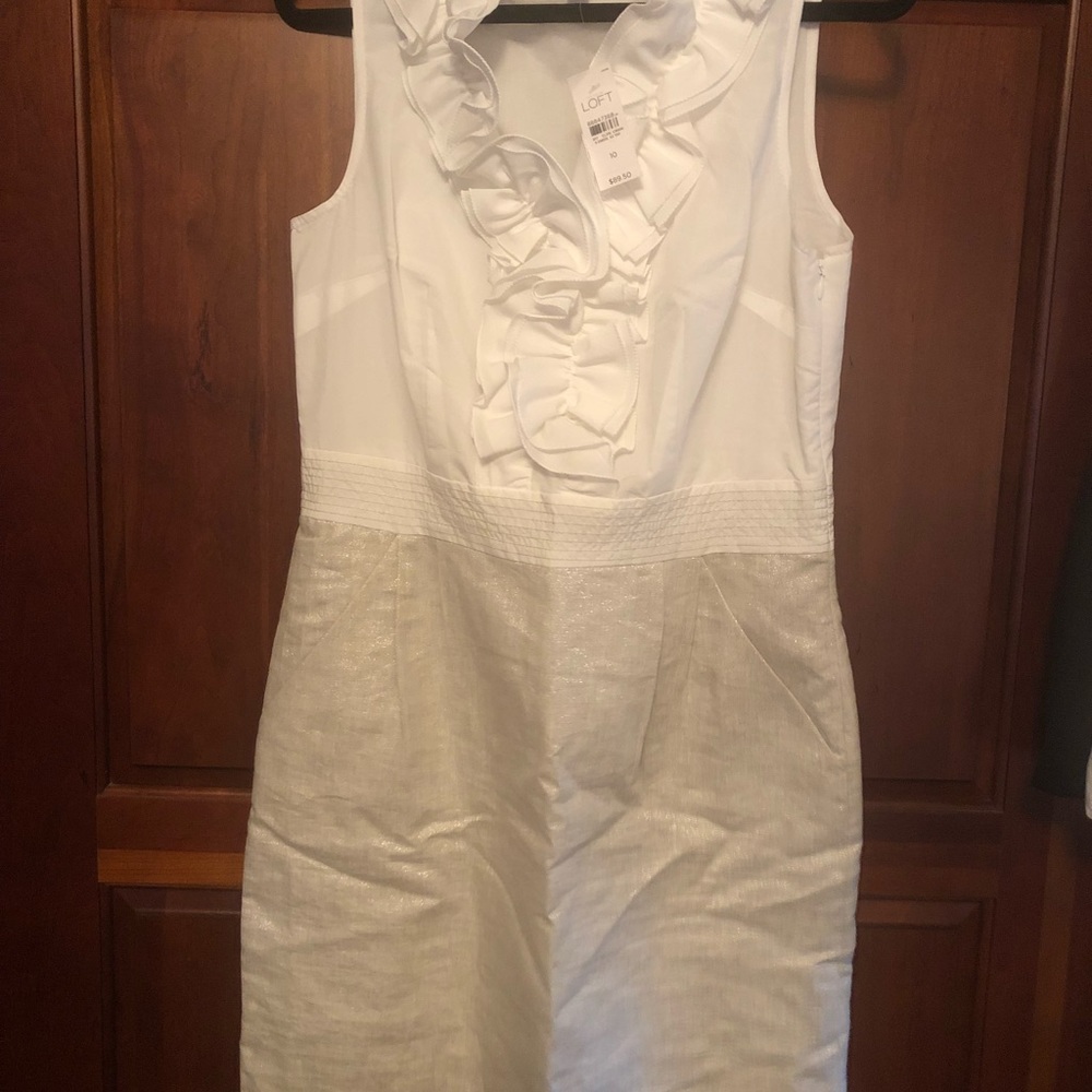 New Loft Dress